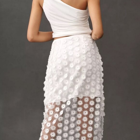 NWT By Anthropologie 3D Texture Sheer Slip Midi Skirt size Small - Picture 4 of 11